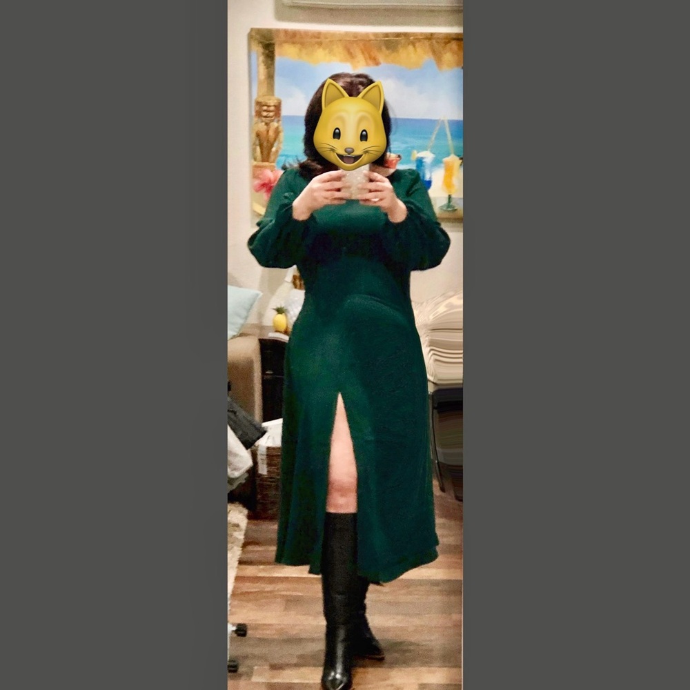 Alexia Admor Dark Green Long Sleeve Dress